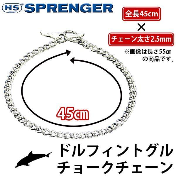 ドルフィントグルチョークチェーン　Herm Sprenger　ハームスプレンガー　45cm×2.5mm