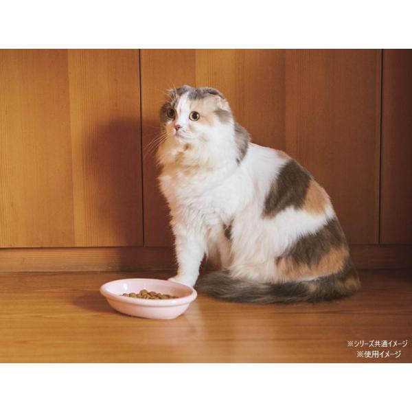 他サイト： ペット皿 滑り止め付き 取っ手付き 食器 安全性 清潔  陶器 猫 動物 ごはん appetit アペティ ペット用食器 猫用オーバルの商品画像