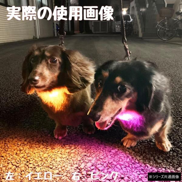 コンパクトなのにハイパワーな、お散歩用の充電式LEDライトです。光のカラーを選んで夜のお散歩が楽しめる、カラービームタイプ。取り付けは首輪やリードに巻きループを引っ掛けて止めるだけなので簡単です。わんちゃんだけでなく、オーナー様の鞄や鍵に付...