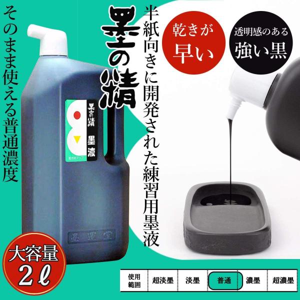 墨汁 墨液 半紙向き 練習 授業 大容量 学校 習い事 書道用品 習字道具 ロングセラー 速乾 便利グッズ 墨運堂 墨の精 墨液 2.0L