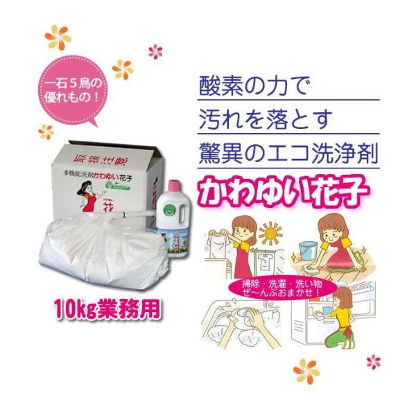 \ yf GR Y E  L ߒY_\[_ AJ ǎj ݉  | _fnړI Ԏq 10kg Ɩp