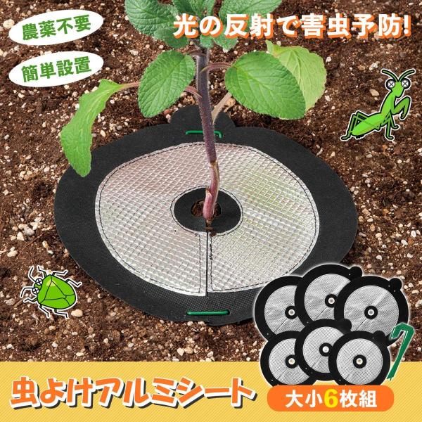 悯A~V[g 召6g іh~ Œst  _ | K[fjO ƒ؉ _  ȒPݒu Q Gh~ 