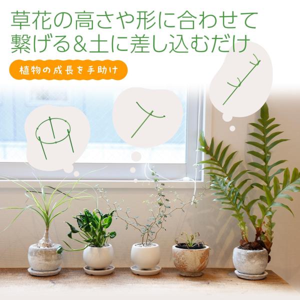 �A�����̉Ԃ����� 20�{�g �g���� �P�� �^���[�^ �����^ �T�[�N���^ ���߉\ �ڗ����ɂ��� �x�� ���| �K�[�f�j���O �������ނ��� �g�ݍ��킹���R ���i�摜3