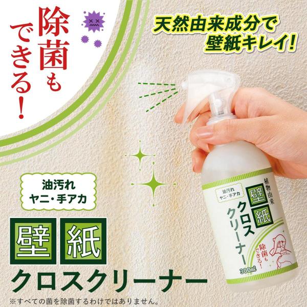 ARǎNXN[i[ 300ml ǎ L  VRR 肠  N ECX΍ j z ͗lւ {