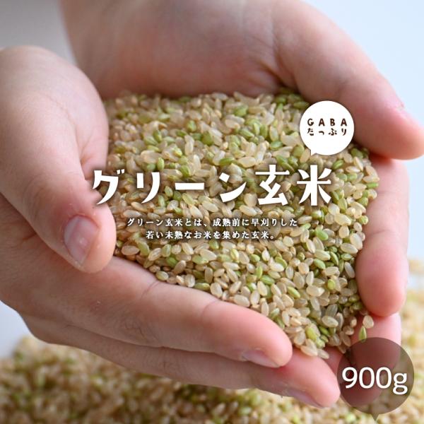 グリーン玄米 900g  国内産 ダイエット メール便 自然の蔵 若い 未熟な 玄米 7年産 青玄米