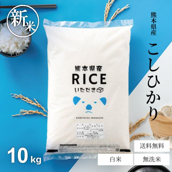 令和六年　熊本県産コシヒカリ10割　精米10キロ コシヒカリ 新米 予約 米 お米 10kg 熊本県産 令和7年産 精米