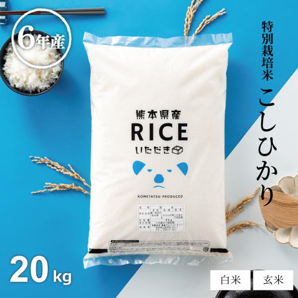米 お米 20kg 送料無 コシヒカリ 熊本県産 特別栽培米 6年産 こしひかり