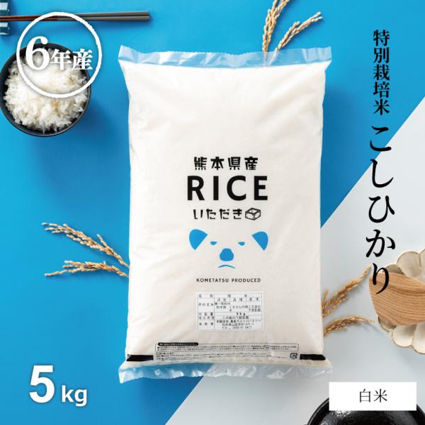 米 お米 5kg 送料無 コシヒカリ 熊本県産 特別栽培米 6年産 精米5kg こしひかり