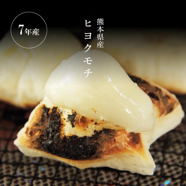 fuchigami_mochi-10_1_d_20251229155718