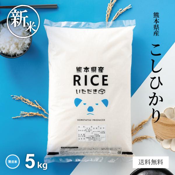 米 お米 5kg コシヒカリ 無洗米 熊本県産 令和7年産　精米5kg こしひかり