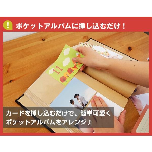 Web限定品 アルバム マンスリー デザインポケットカード It Dpcm L Buyee Buyee Japanese Proxy Service Buy From Japan Bot Online