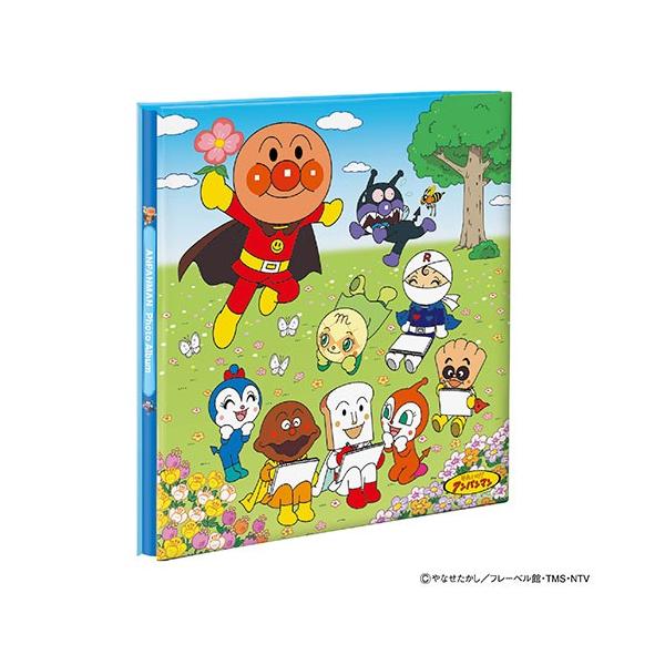 Ao iJoV Ap} LTCY A[gt䎆 tGAo \ ^Cv AA-LP-102-1 