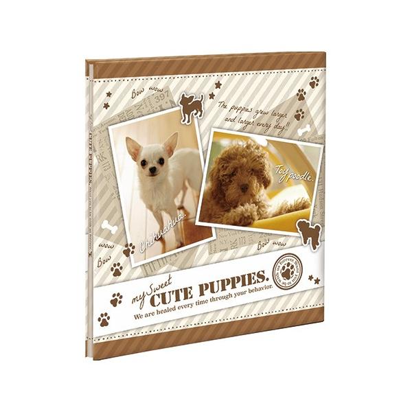 Ao iJoV tXAo 10L / rX / 䎆10 10L-1203B XC[gps[Y y\t S t[Ao tHgAo Wʐ^z