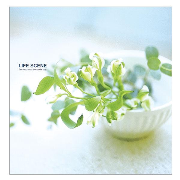 Ao Ao iJoV tGAo \ ^CvDigio CtV[ u[ LPF-1001-B