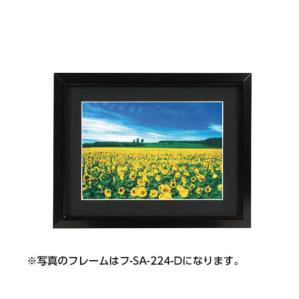 iJoV yʃA~ ʐ^ziی^) ChZcؔiubN) t-SA-223-D