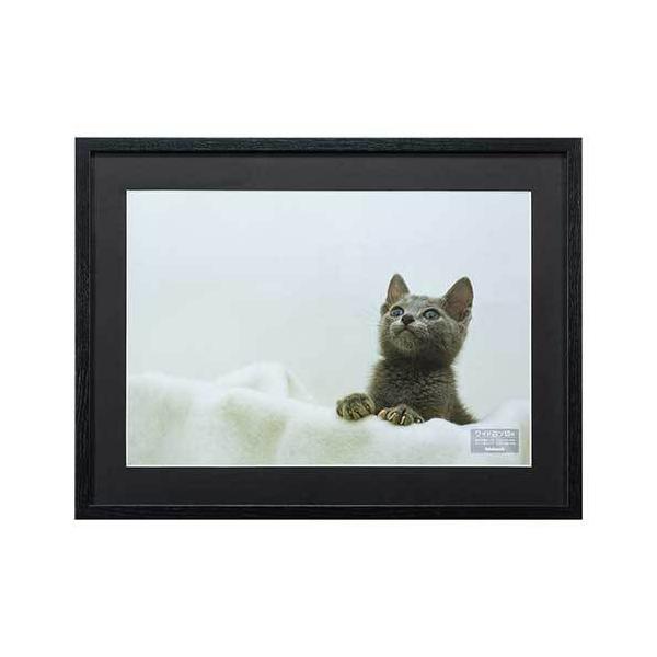 iJoV ؐʐ^z ChlcؔiubNjF-SW-116-D