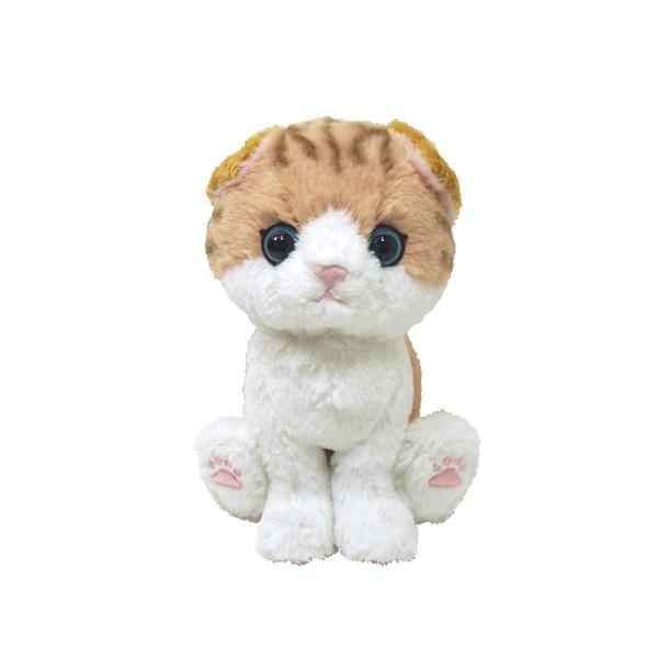 他サイト： サンレモン キトン ぬいぐるみ スコティッシュフォールド BR  P-4222の商品画像