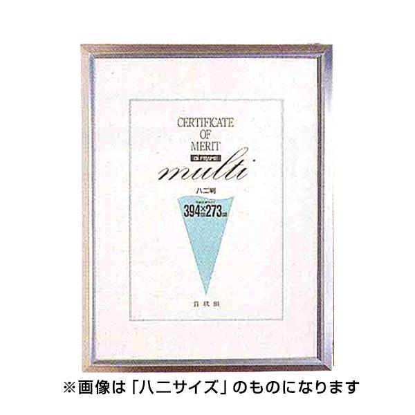 C^ ai FRAME ܏z A~ AS-01  B5 AS-01-B5-H