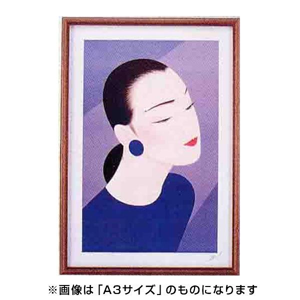 C^ ai FRAME |X^[pl ؐ MPP-17 A[2 MPP-17-A2