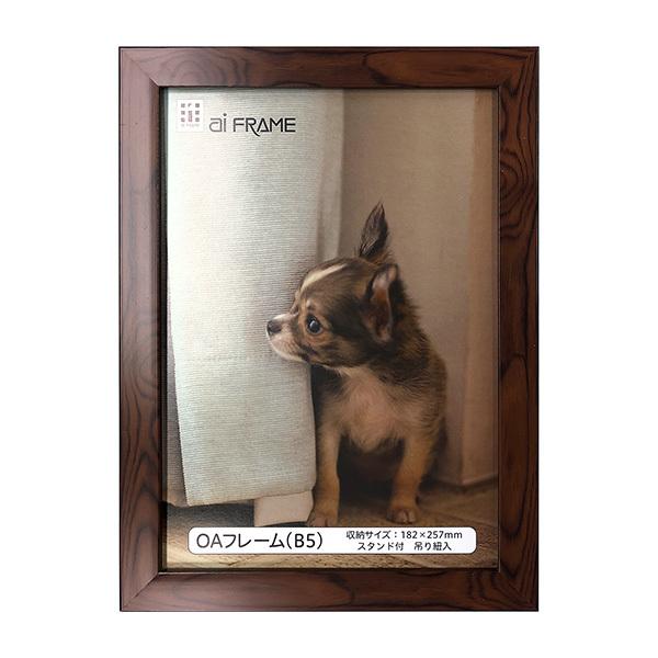 C^ ai FRAME OAt[^B5^uE JOA-B5-BR