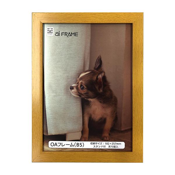 C^ ai FRAME OAt[^B5^i` JOA-B5-NA