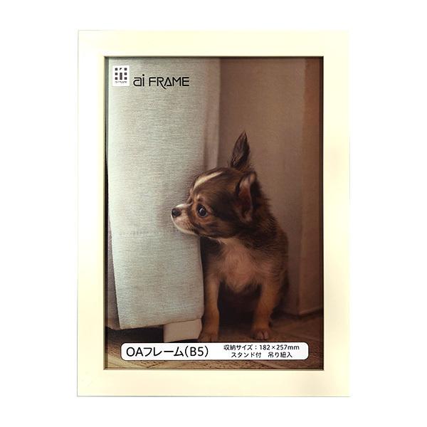 C^ ai FRAME OAt[^B5^zCg JOA-B5-W