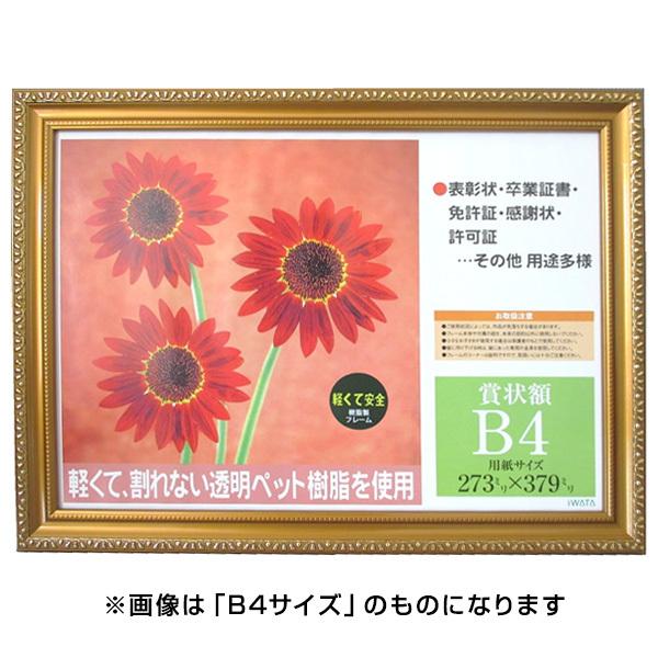 C^ ai FRAME ܏z  PS^70 PSKK-SP-70/V