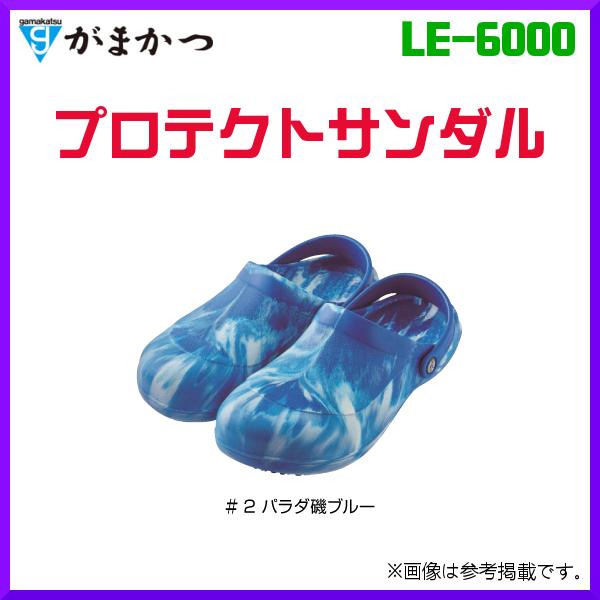 ܂ @veNgT_ @LE-6000 @p_u[ @M @( 2021N 2Vi )