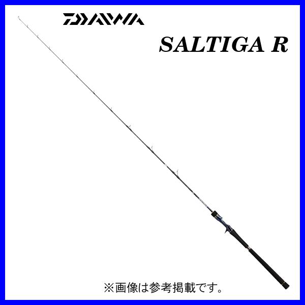 DAIWA（釣り） ダイワ ソルティガ R ジギングモデル J63B-2.5 LO 1.91m 