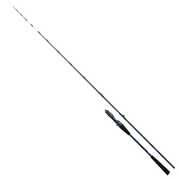 DAIWA（ダイワ） 極鋭 テンヤタチウオ 91H-161 (2025年 新製品) : 釣具