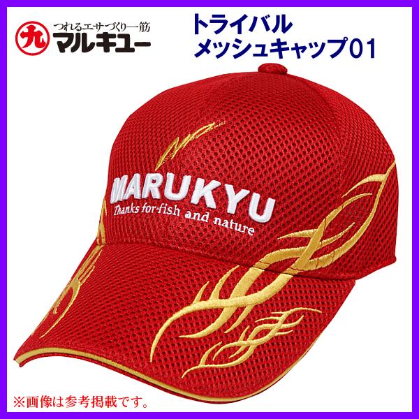 }L[ @gCobVLbv01 @bh @L