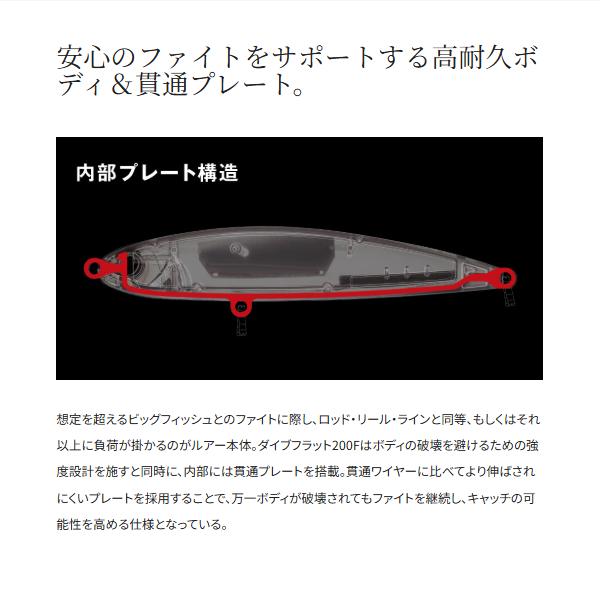 fuga0223_4969363152831_2_d_20251015162155