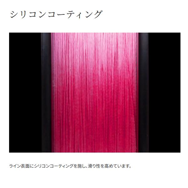 fuga0223_4969363169020_4_d_20260317134643