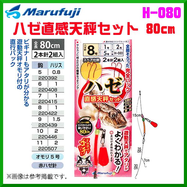 }tW @n[VZbg 80cm @H-080 @8 @10Zbg@g~