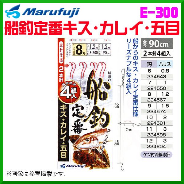 }tW @DޒԃLXEJCEܖ @E-300 @9 @10Zbg@D