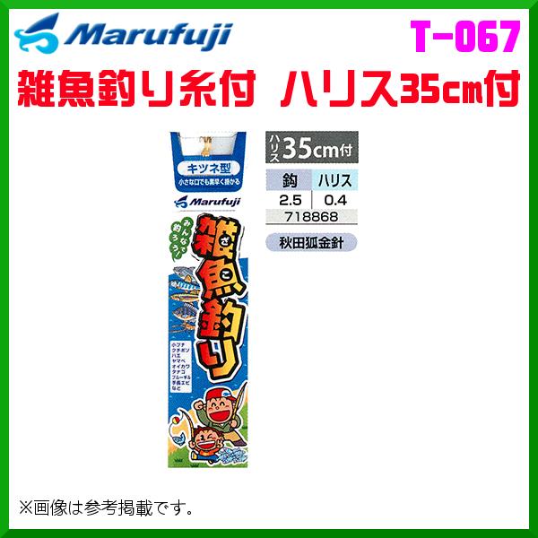 }tW @Gނ莅t nX35cmt @T-067 @2.5 @10Zbg @W