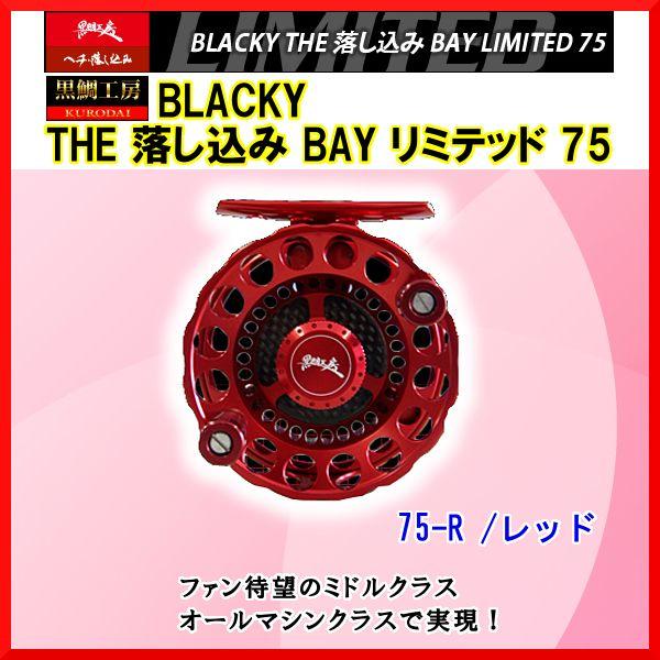黒鯛工房 BLACKY THE 落し込み BAY LIMITED 75-R