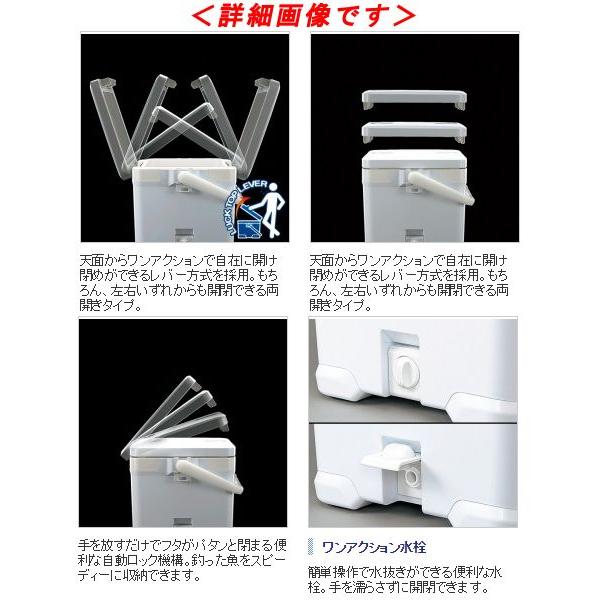 シマノ ライムグリーン 2 ライト 3 フィクセル 3 フィクセル クーラー Lf 022n Sh 釣具 フーガショップ1 22l