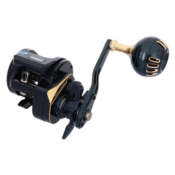 DAIWA（ダイワ） 25 ソルティガ IC 300L-C (2026年 1月新製品