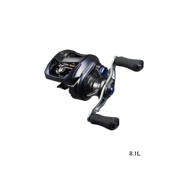 DAIWA（釣り） （24年9月新商品） ダイワ ソルティスト BF TW 8.1L(左