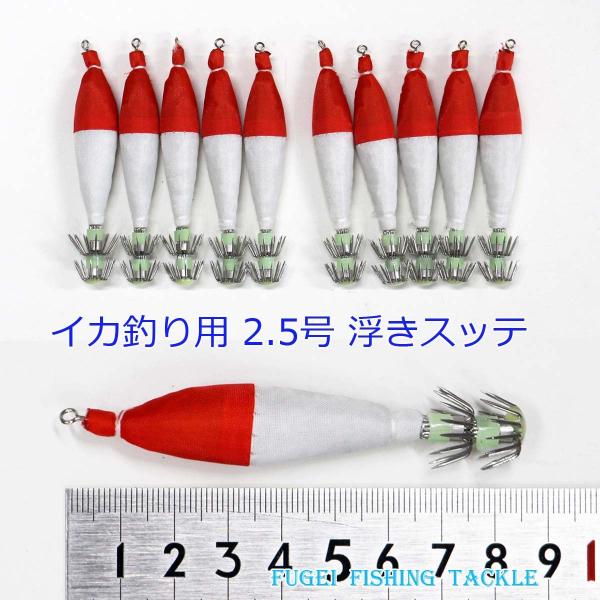 ދ CJނ  2.5 8.5cm Xbe 30{ Zbg H20sute25hBM01C1ps30 AICJ RECJ  GMO d|