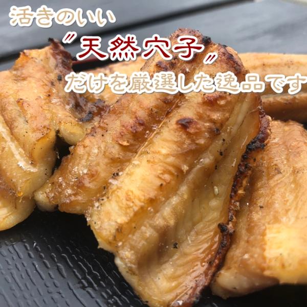 あなご めじろ 穴子 特上 天然あなごの干物 １５０g 大サイズ 愛知県師崎産 Buyee Buyee Japanese Proxy Service Buy From Japan Bot Online