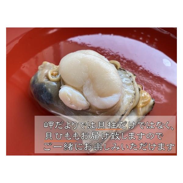 平貝 タイラギ 天然平貝 特大１個 愛知県産 Buyee Buyee Japanese Proxy Service Buy From Japan Bot Online