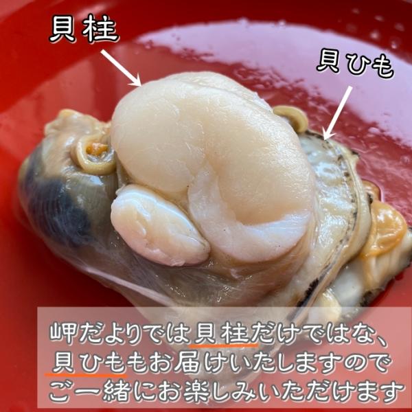 平貝 タイラギ 天然平貝大１個 愛知県産 Buyee Buyee 提供一站式最全面最專業現地yahoo Japan拍賣代bid代拍代購服務bot Online