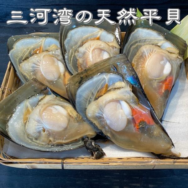 平貝 タイラギ 天然平貝大１個 愛知県産 Buyee Buyee 提供一站式最全面最專業現地yahoo Japan拍賣代bid代拍代購服務bot Online