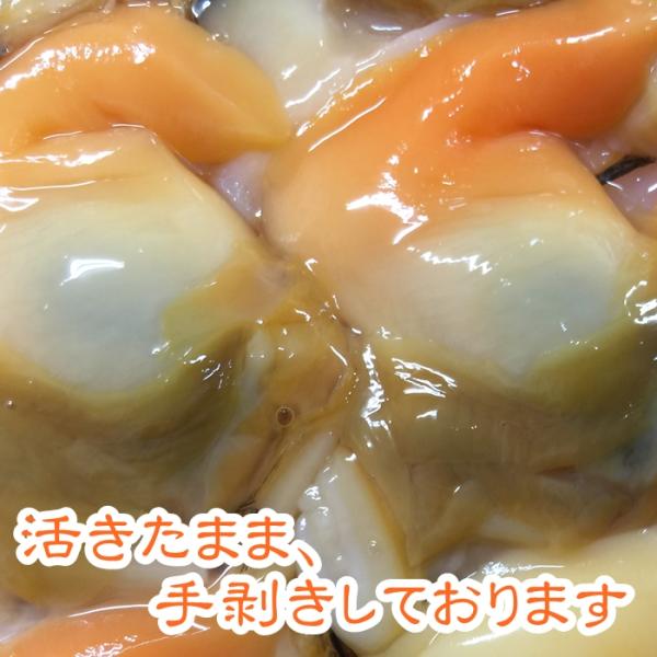 天然青柳 バカ貝 むき身２０個入り 愛知県産 Buyee Buyee 提供一站式最全面最專業現地yahoo Japan拍賣代bid代拍代購服務bot Online