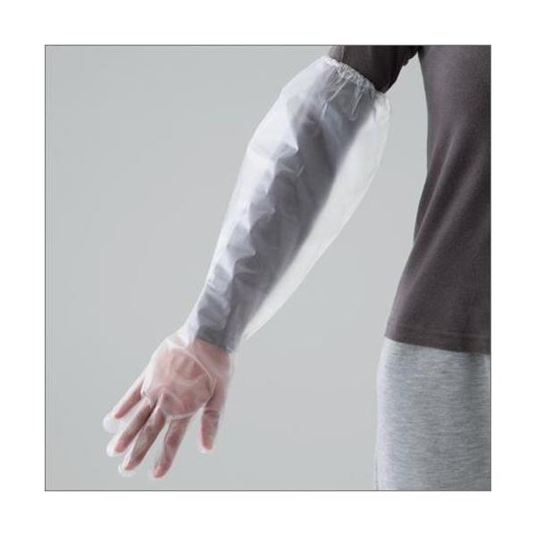 O܁@6y񂹁zy1pbN܂ŗXOKz