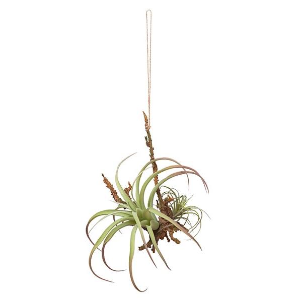 GARDEN／ハンギングエアープランツL