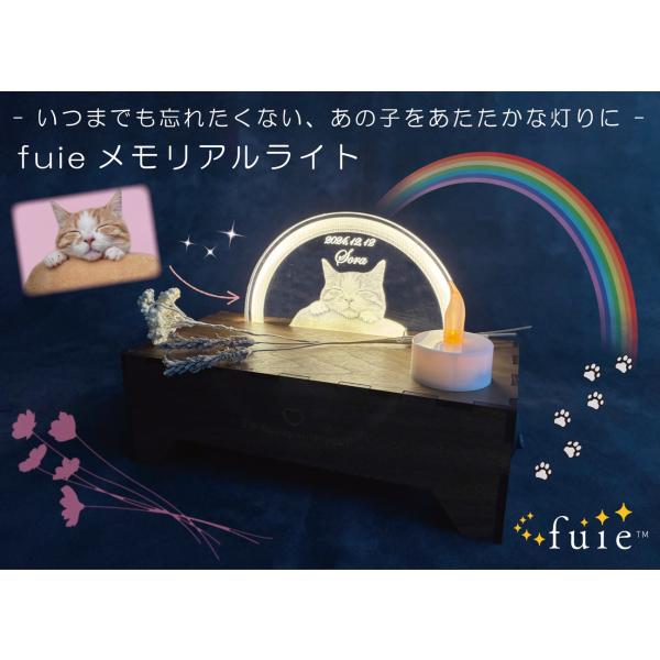 会社名　　　フロム工業サイズ　　　本体：幅200×奥行100×高さ65(mm)サイズ　　　アクリル差し込み時：幅200×奥行100×高さ140(mm)電源　　　　DC 12V消費電力　　約1.5W　(1時間あたり　約￥0.05)重量　　　　...