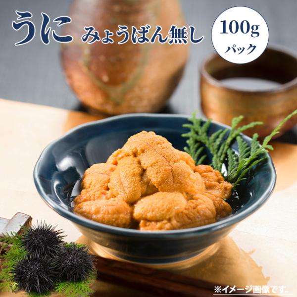 ウニ 100g 雲丹 うに すし 鮨 寿司 軍艦 どんぶり 丼 安 6700000599 /【Buyee】 ウニ 100g 雲丹 うに すし 鮨 寿司 軍艦 どんぶり 丼 安 6700000599 /【Buyee】